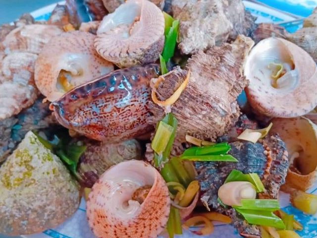 Combo tour thưởng thức hải sản ngon tại Cù Lao Xanh - Quy Nhơn Group Tour