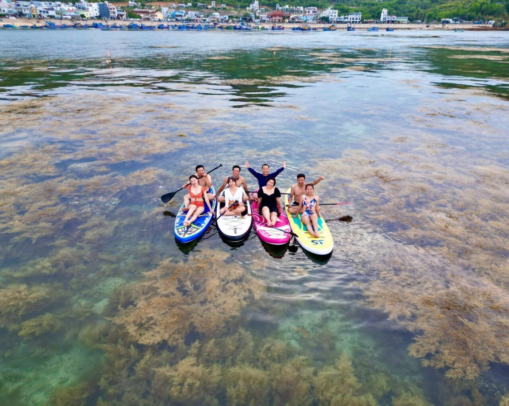Tour Hòn Khô trong ngày chèo súp ngắm rong mơ - Quy Nhơn Group Tour