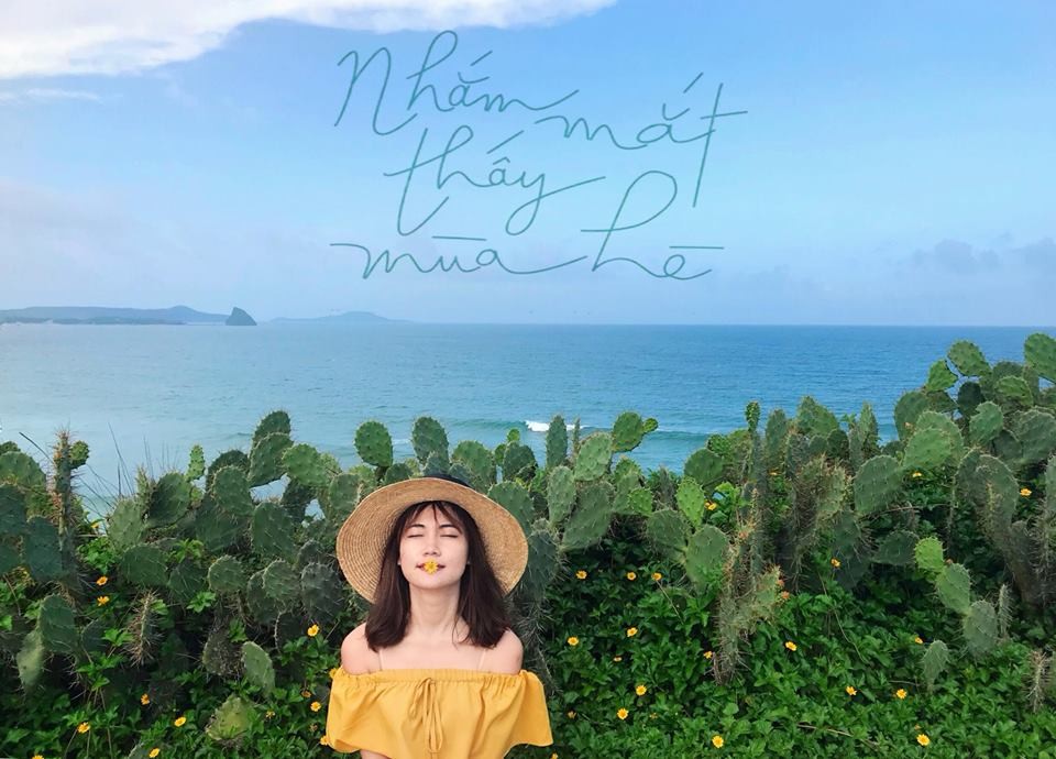 Tour Quy Nhơn Phú Yên tết 2026