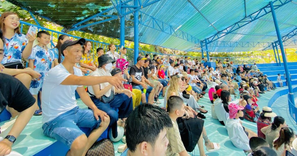 Tour Hòn Khô giá tốt trong ngày - Quy Nhơn Group Tour