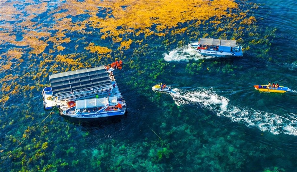 Tour Hòn Khô tự túc lặn ngắm san hô đón tại Nhơn Hải - quynhongrouptour