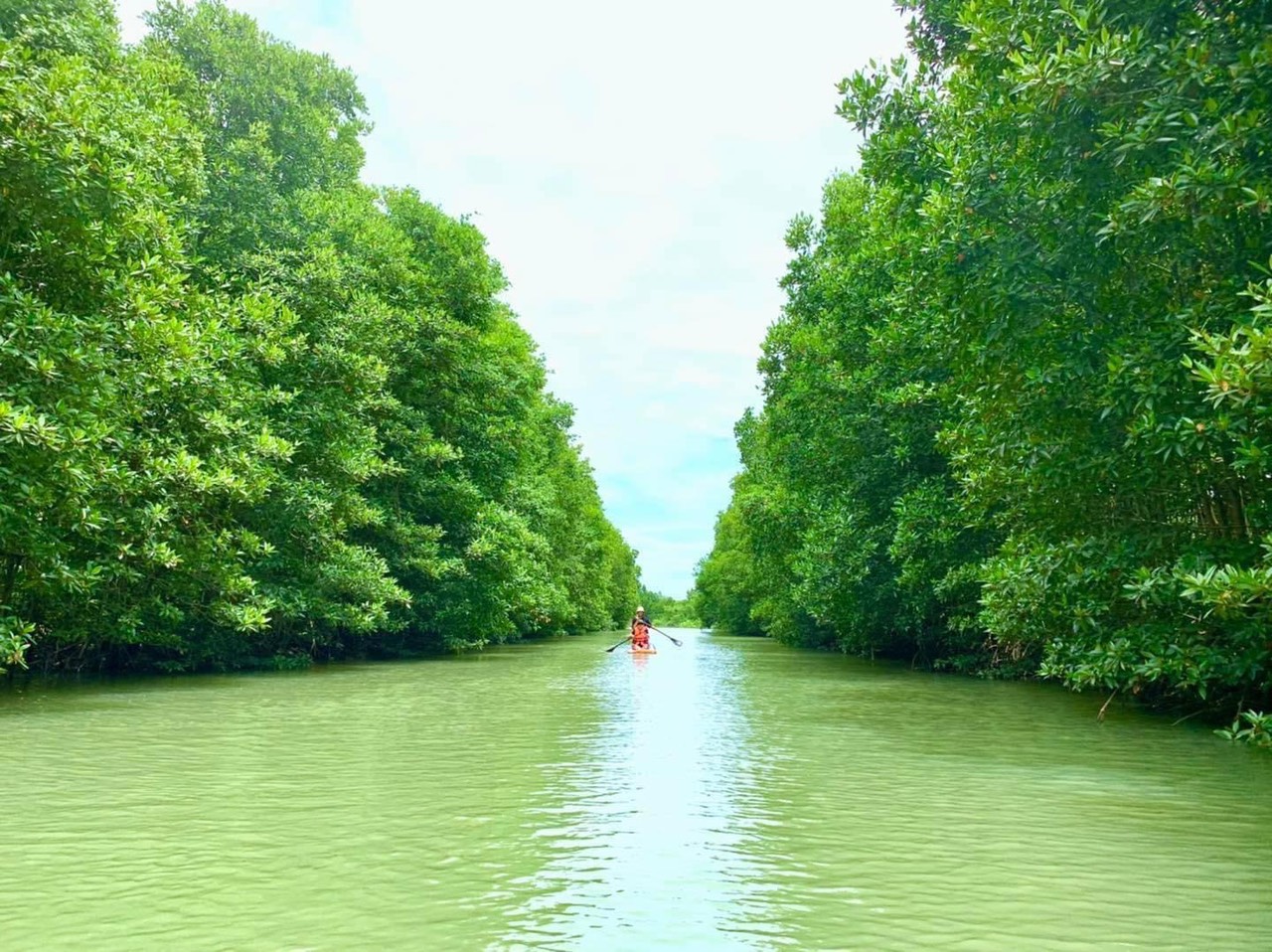 Tour Cồn Chim Quy Nhơn 1 ngày 