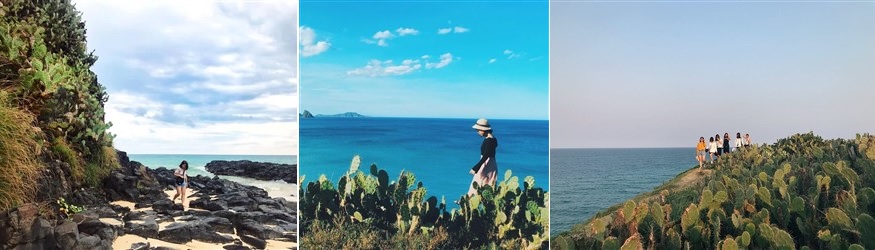Bãi xép ghềnh ông phim trường hoa vàng trên cỏ xanh -quynhongrouptour Bãi xép ghềnh ông phim trường hoa vàng trên cỏ xanh -quynhongrouptour