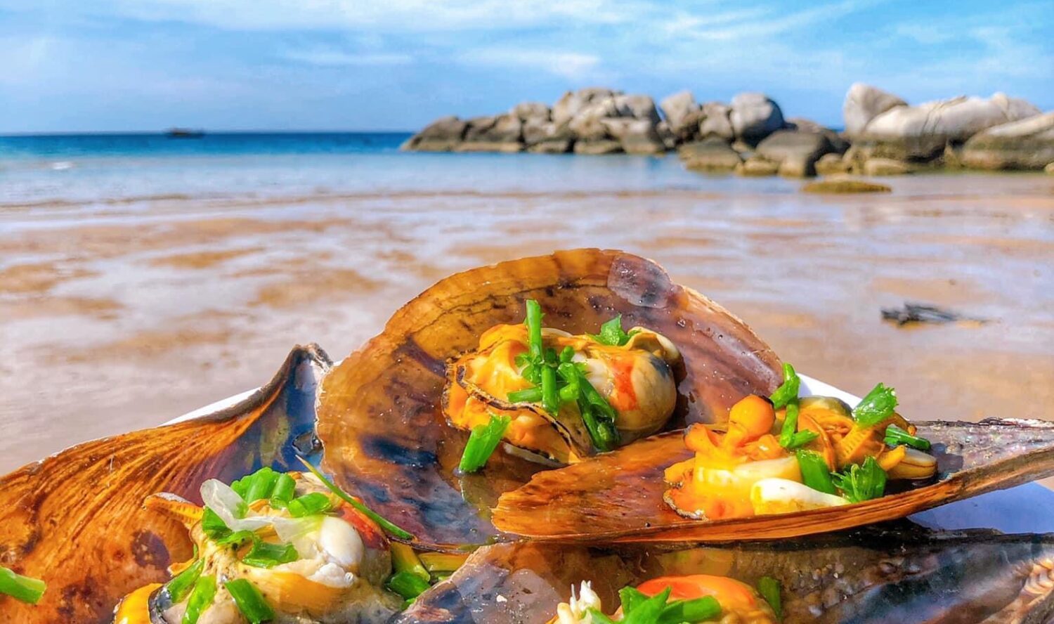 Tour Đề Gi – Vũng Bồi: Hành Trình Sinh Tồn Nơi Đảo Hoang