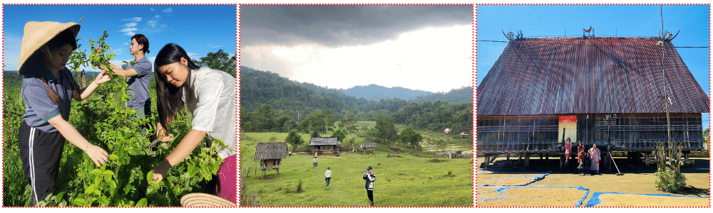 Tour Quy Nhơn - An Lão - khám phá núi rừng hùng vĩ