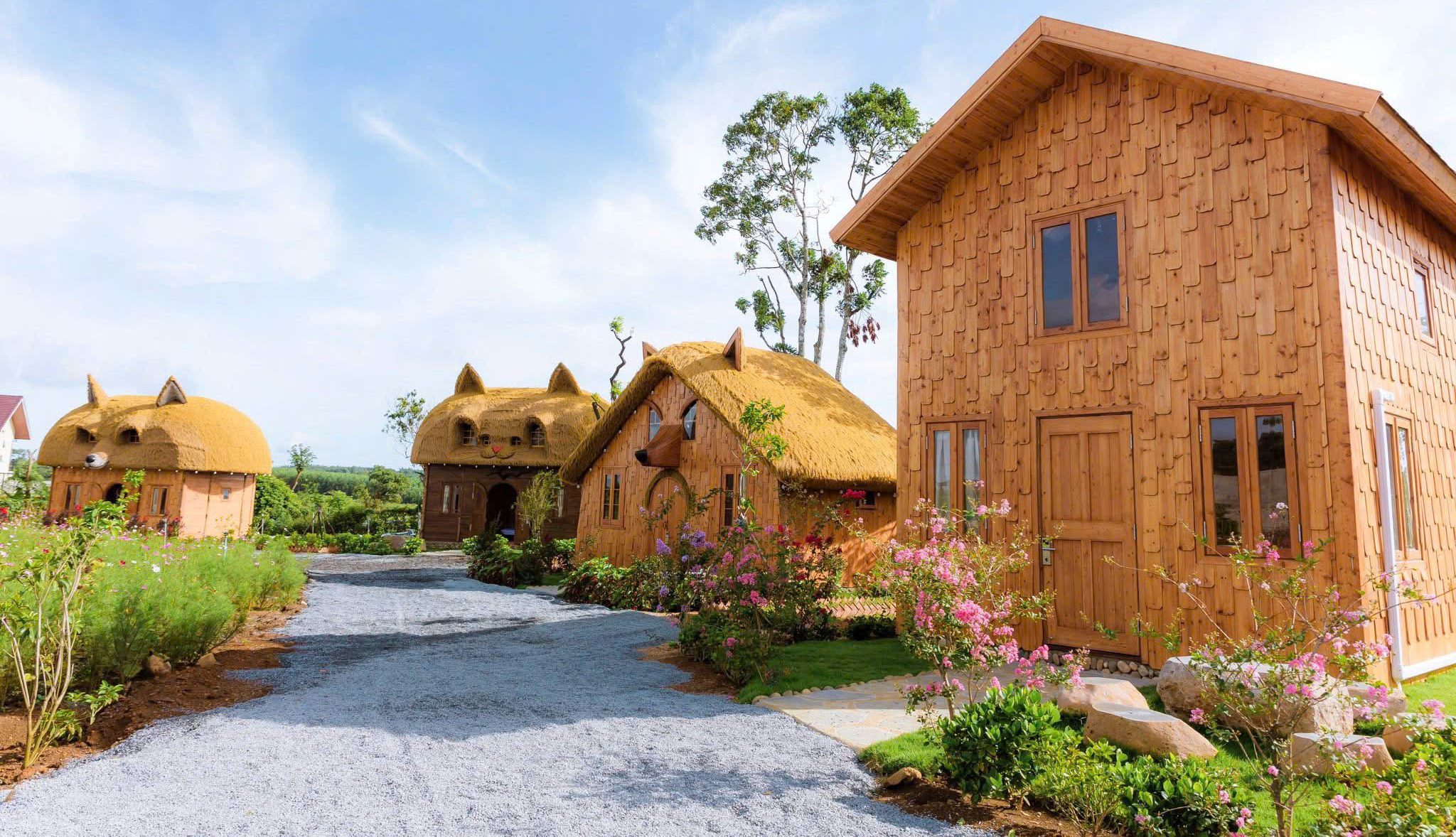 Tour Quy Nhơn – Đồi Tím – Làng Mây : 1 Ngày Khám Phá Xứ Sở Hoa Vàng Phú Yên