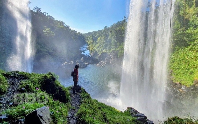 Tour Quy Nhơn – An Lão 2 ngày 1 đêm: Thiên Đường Xanh Giữa Đại Ngàn Bình Định